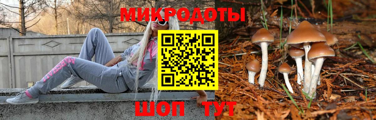Галлюциногенные грибы Cubensis Астрахань
