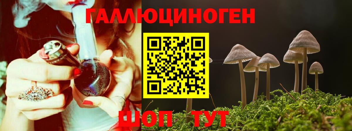 Астрахань  Галлюциногенные грибы Cubensis  Вход с VPN 